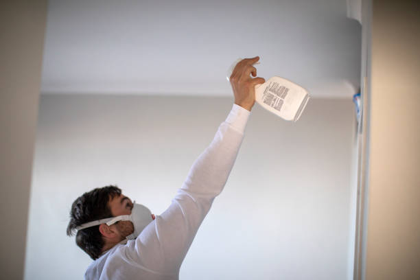 Best Water Damage Restoration  in Wapello, IA