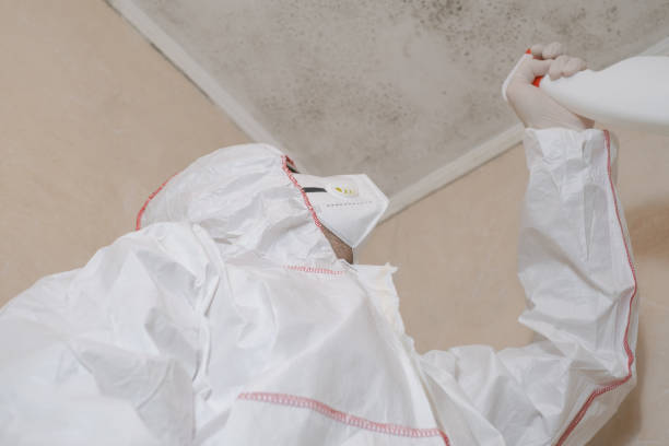 Best Professional Mold Removal  in Wapello, IA